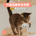 🐱 貓咪天堂大揭秘：打造完美安全空間的終極指南 🏠